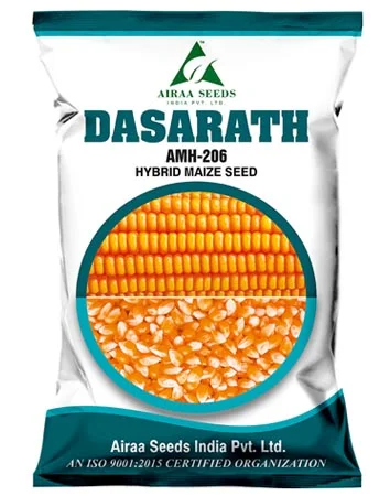 dasarath