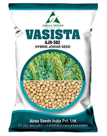 vasista