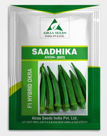 saadhika